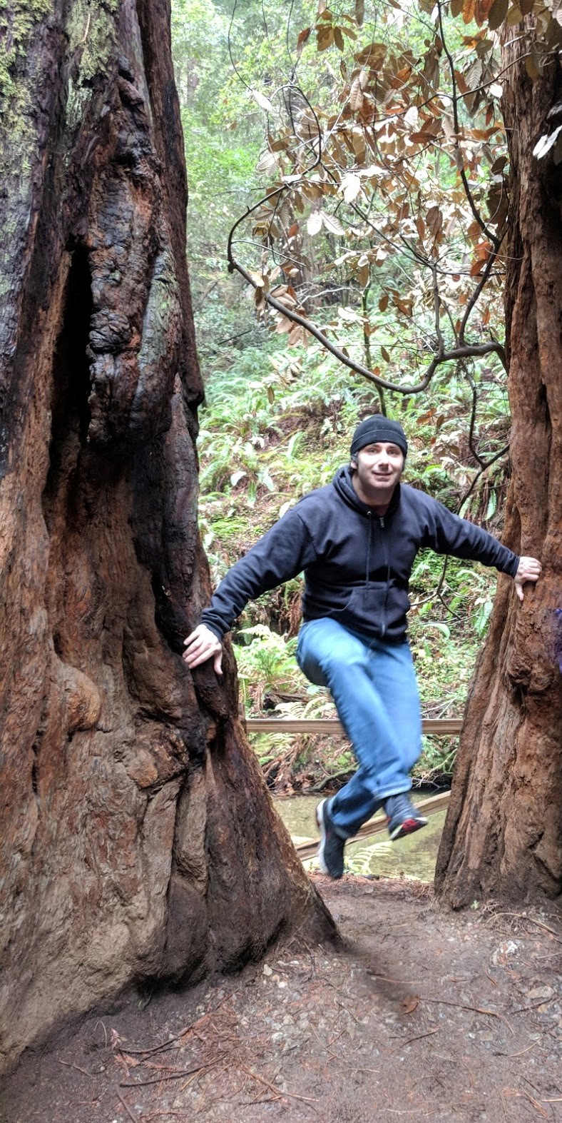 Journey_MuirWoods_Leap_Dec2018.jpg
