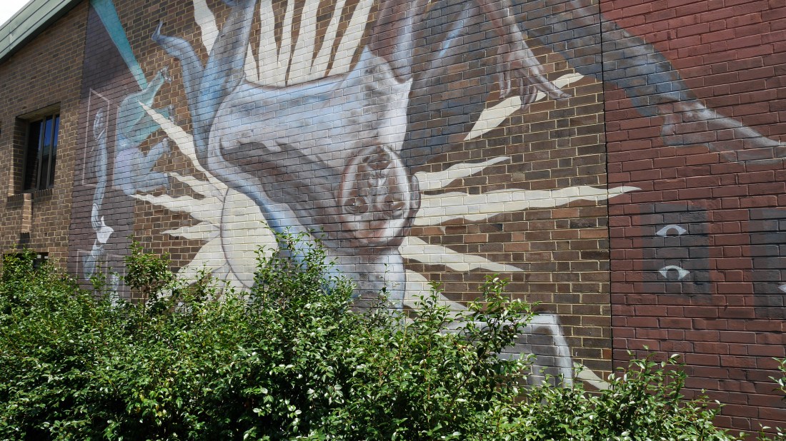 Pic_UNSW_Forg_ (4).JPG