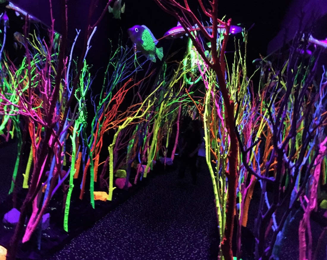 Apr_MeowWolf_SanteFe